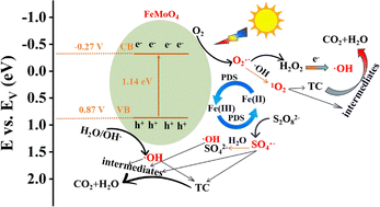 Graphical abstract: Mixed-phase FeMoO4 for synergistic photocatalytic peroxydisulfate activation toward efficient tetracycline degradation