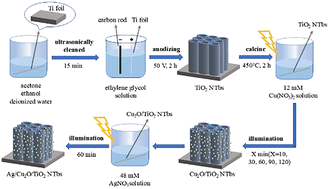 Graphical abstract: Photocatalytic hydrogen evolution and photodegradation performance of Ag and Cu2O co-decorated TiO2 nanotubes