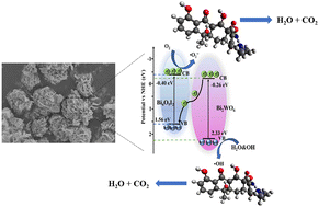 Graphical abstract: One-step solvothermal synthesis of Bi2WO6/Bi4O5I2 heterojunctions with enhanced photocatalytic performance for tetracycline degradation