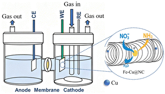Graphical abstract: A MOF-derived Fe–Cu@NC electrocatalyst for efficient conversion of nitrate into ammonia