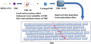 Graphical abstract: A tetrahydrocurcumin-based copolymeric micellar hydrogel for improved dermal delivery