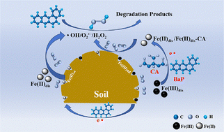 Graphical abstract: Insight into citric acid-enhanced abiotic degradation of benzo[a]pyrene: transformation of iron species and hydroxyl radical production
