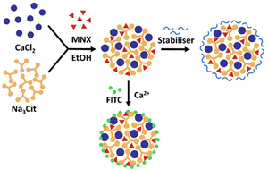 Graphical abstract: The development of minoxidil-loaded calcium citrate nanoparticles