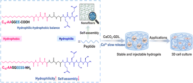 Graphical abstract: Injectable self-assembled peptide hydrogels with programmable sequences for cell culture