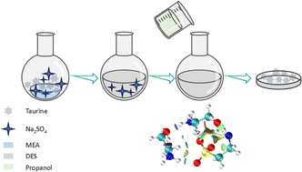 Graphical abstract: Separation of taurine and Na2SO4via the in situ formation of deep eutectic solvents: experiments and computational simulation