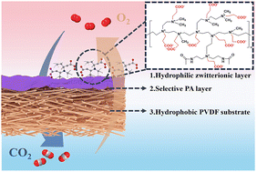 Graphical abstract: Novel triple-layer nanofibrous composite membranes with high gas selectivity for efficient blood oxygenation