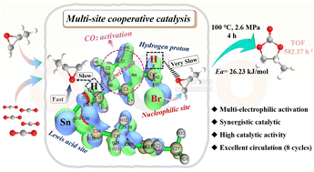 Graphical abstract: Insights into the promotion mechanism of multiple electrophilic sites in CO2 cycloaddition via simulation and experiment