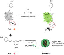 Graphical abstract: A dual-functional nanoplatform for the tracking of formaldehyde and neuroprotection in Parkinson's disease