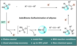 Graphical abstract: Substrate-initiated radical relay: redox-neutral iodo/bromo sulfoximination of alkynes
