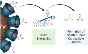 Graphical abstract: Degradation of perfluorooctanoic acid using zero-valent iron coated with carboxymethyl-β-cyclodextrin polymer