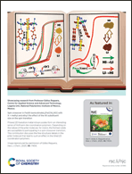 Graphical abstract: Back cover