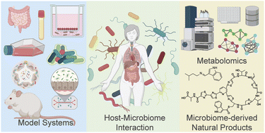 Graphical abstract: Mass spectrometry-based metabolomics approaches to interrogate host–microbiome interactions in mammalian systems