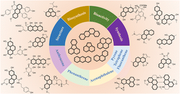 Graphical abstract: Natural tricyclic and hyper-polycyclic aromatic hydrocarbons: structure, biosynthesis, bioactivity, and synthesis