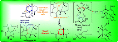 Graphical abstract: Progress, challenges, and opportunities in the field of biosynthetic reactions involving ambimodal transition states