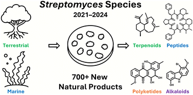 Graphical abstract: New secondary metabolites isolated from Streptomyces species