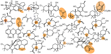 Graphical abstract: Brief overview of recently reported misassigned natural products and their in silico revisions enabled by DU8ML, a machine learning-augmented DFT computational NMR method