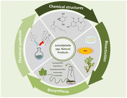 Graphical abstract: A comprehensive review of the structural diversity, biosynthesis and chemical synthesis of Lasiodiplodia spp. natural products