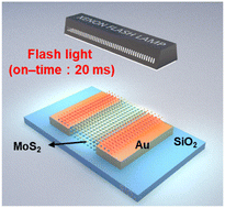Graphical abstract: Selective and local flash-annealing for improvement in the contact characteristics of MoS2 transistors