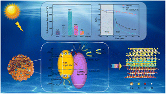 Graphical abstract: Enhanced photocatalytic H2 generation and Cr(vi) reduction by a sheet-on-sheet Cd(OH)2/CdS nanocomposite