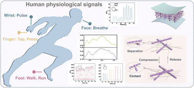 Graphical abstract: Wide-range human physiological signal acquisition with carbonized composite nanofibers