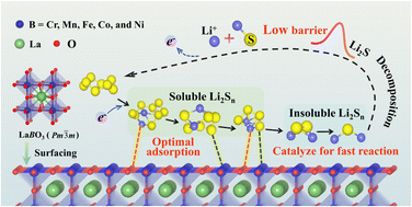 Graphical abstract: Atomic insights into the electrocatalytic properties of LaBO3 perovskite oxides for lithium–sulfur battery performance