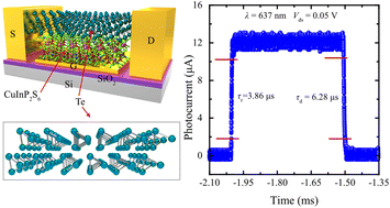 Graphical abstract: Broadband photoresponse based on a Te/CuInP2S6 ferroelectric field-effect transistor