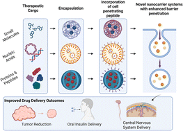 Graphical abstract: Cell-penetrating peptides as facilitators of cargo-specific nanocarrier-based drug delivery