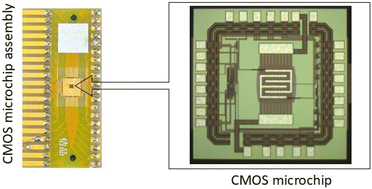 Graphical abstract: Low temperature inkjet-printed metal oxide sensors for sensitive and selective NO2 detection