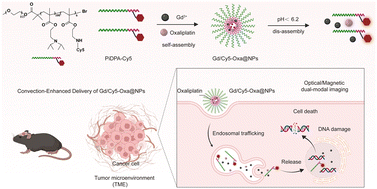 Graphical abstract: An optical/magnetic imaging nanoplatform-mediated convection-enhanced delivery of oxaliplatin for glioma treatment