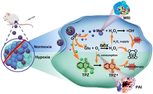 Graphical abstract: Smart self-assembly of a multifunctional theranostic nanozyme for self-enhanced precise chemo/chemodynamic therapy