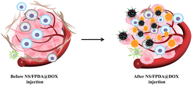 Graphical abstract: Environment-responsive polydopamine nanoparticle cross-linked phenylboronic-grafted hyaluronic acid with enzyme-like properties for tumor synergistic therapy