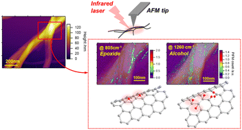 Graphical abstract: Insights into the sequential oxidation mechanisms on the surface of carbon nanotubes by photoinduced force microscopy