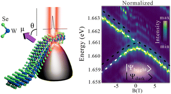 Graphical abstract: Observation of dark doublets induced by spin–flip processes in WSe2