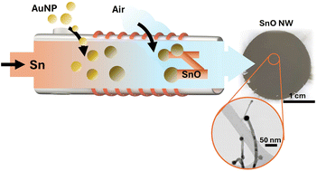 Graphical abstract: Sequential control of catalyst alloying and oxygen-mediated nucleation for continuous synthesis of SnO nanowires floating in the gas phase