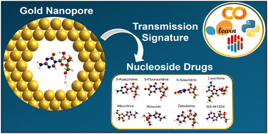 Graphical abstract: A hybrid supervised and unsupervised machine learning approach for identifying nucleoside drugs using nanopore readouts