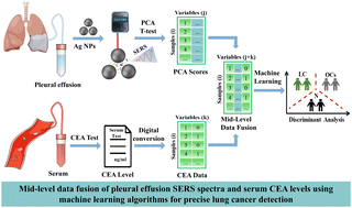 Graphical abstract: Mid-level data fusion of pleural effusion SERS spectra and serum CEA levels using machine learning algorithms for precise lung cancer detection