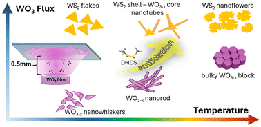 Graphical abstract: A close-space sublimation approach to tungsten oxide and sulfide nanostructure formation
