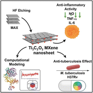 Graphical abstract: Ti3C2O2 MXene as a dual-action modulator of inflammatory and tuberculosis signaling: structural and in vitro insights