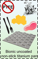Graphical abstract: A bionic uncoated non-stick titanium pan