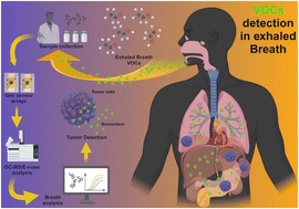 Graphical abstract: Harnessing volatile organic compound biomarkers for early cancer detection: molecular to nanotechnology-based approaches