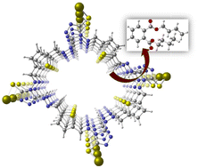 Graphical abstract: Nanohoop anchored plasmonic surfaces for polarity-dependent ultrasensitive sensing