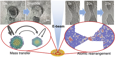 Graphical abstract: Electron beam facilitated structural evolution of nano-zincoxide