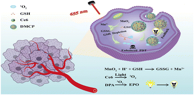 Graphical abstract: Multifunctional nano-MOFs based on tumor microenvironment modulation for detecting singlet oxygen and enhancing photodynamic therapy