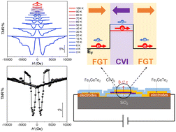Graphical abstract: Temperature-dependent sign reversal of tunneling magnetoresistance in van der Waals ferromagnetic heterojunctions