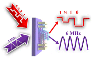 Graphical abstract: Multifunctional applications of 2D anti-ambipolar transistors: frequency doubling and multi-valued inverter design