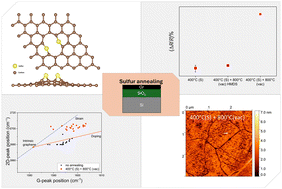 Graphical abstract: Probing defect formation in sulfur-annealed graphene for TMDC integration