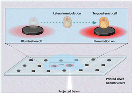Graphical abstract: White-light-driven plasmonic nanoparticle printing for opto-thermal manipulation and SERS application