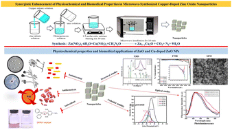 Graphical abstract: Synergistic enhancement of physicochemical and biomedical properties in microwave-synthesized copper-doped zinc oxide nanoparticles