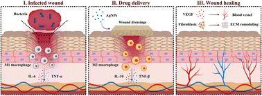 Graphical abstract: Silver nanoparticles with multimodal biological activities integrated into advanced material platforms for chronic wound management