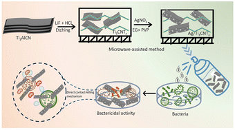 Graphical abstract: Microwave-assisted growth of Ag nanoparticles on Ti3CNTx MXene for antibacterial food packaging